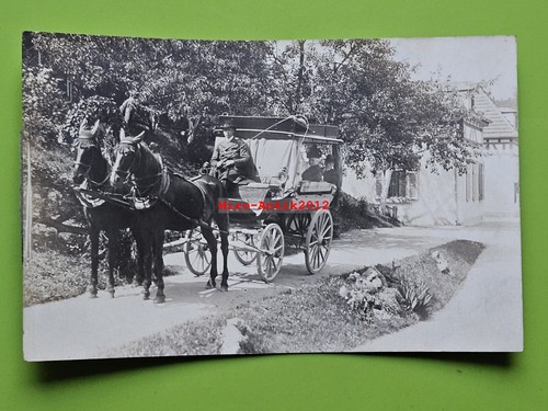 Foto bella carrozza trainata - bella,
