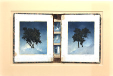 ANGELO DAVOLI: OLIO SU INTERNO