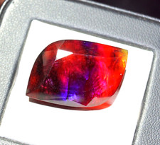 33.45 Ct Natural Ammolite