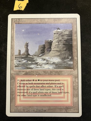 Magic the gathering mtg - magic,