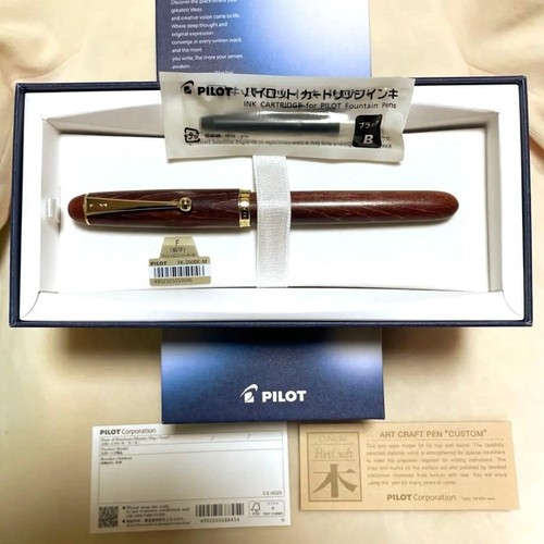 Penna stilografica nos pilot - penna,