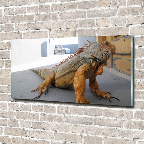 Quadro vetro acrilico - quadro,