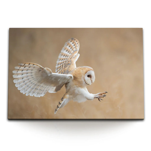 Quadro tela 120x80 gufo - cm,