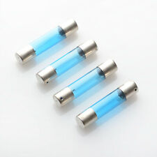 Accuphase P-300S Lampade /