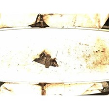 SUPPORTO MOTORE PER SUZUKI JIMNY (98-05) 1.3 16V 4WD SUV 3P/B/1298CC. 1998