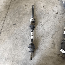 13335136 Semialbero ant