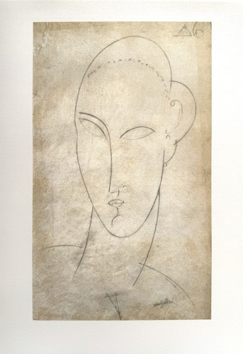Amedeo modigliani - ,