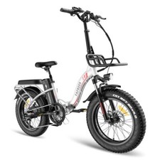 FAFREES F20 MAX 20" Bicicletta