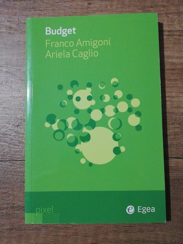 Amigoni caglio budget egea - budget,