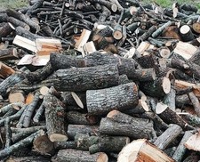 LEGNA DA ARDERE DI QUERCIA