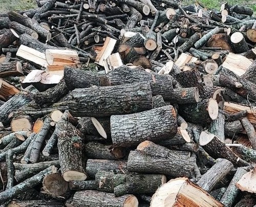 Legna ardere quercia - legna,