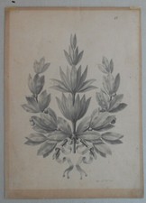 QUADRO DISEGNO A MATITA FIRMATO E DATATO 1866 FIORE ALLEGORIA