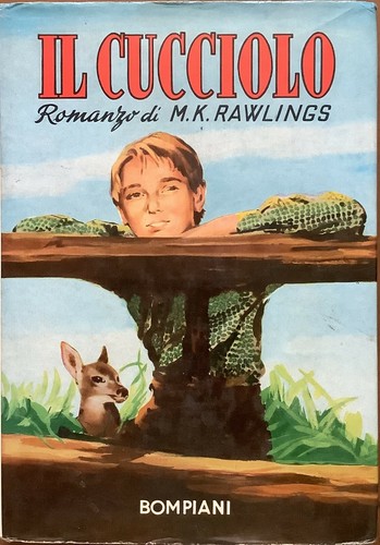 Rawlings il cucciolo - m.,