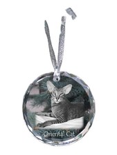 Orientale Gatto - Sfera Con