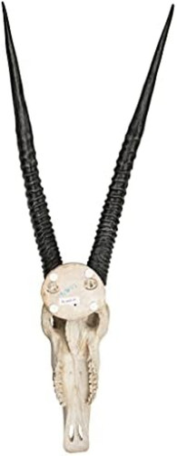 Design toscano ng32187 trofeo - design,