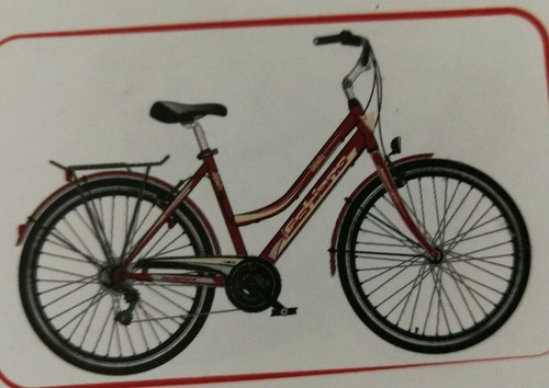 Bici infinity donna - infinity,