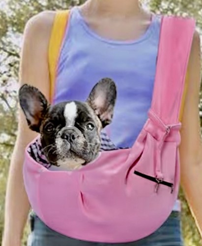 Borsa trasportino per cani - borsa,