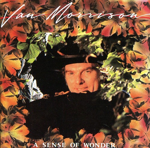 Van morrison a sense - cd,