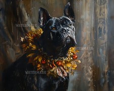 Cane Corso Dog with Festive