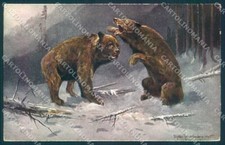 Cartolina cartolina firmata artista Muller caccia orso animale WSSB 6961 TW2458