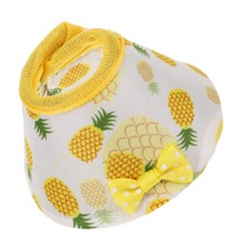 Collare per pappagalli collare