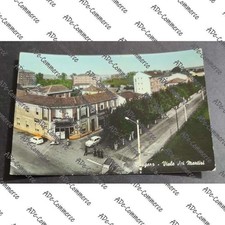 Cartolina Borgaro - Viale dei