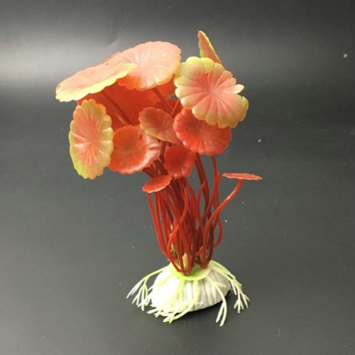 Pianta piantina - pianta, cm