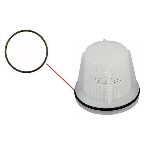 Ring guarnizione anello - o-ring,