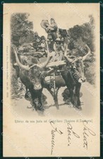 Cagliari Campidano Festa di Costumi Buoi STRAPPINI cartolina QT2435