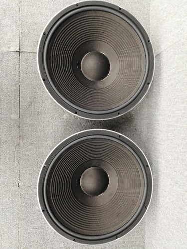 Coppia trasduttori woofer