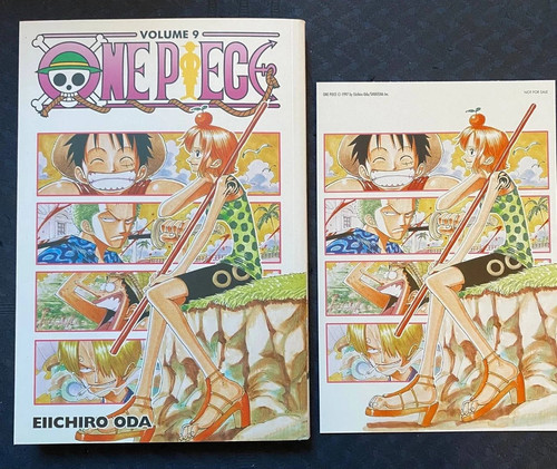 One piece gazzetta - piece, con