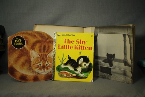 Children little golden - little,