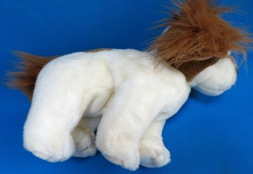 Regal cavalier king charles - regal,