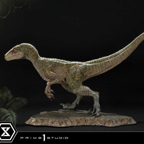 Prime studio velociraptor - prime,