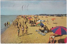 BIBIONE PINEDA - VENEZIA -