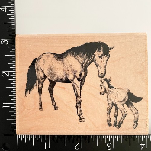 Stampabilities cavalli mare - cavalli, e