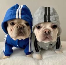 Adidog tuta per cani tuta per