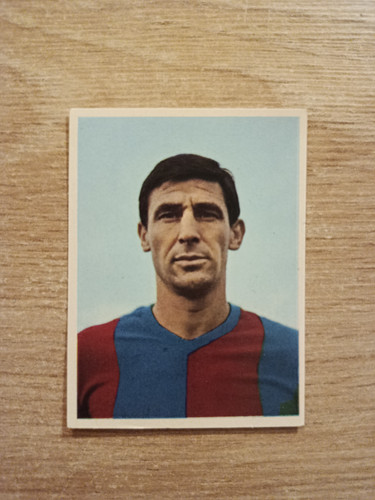 1966 imperia calciatori - 1966-67,