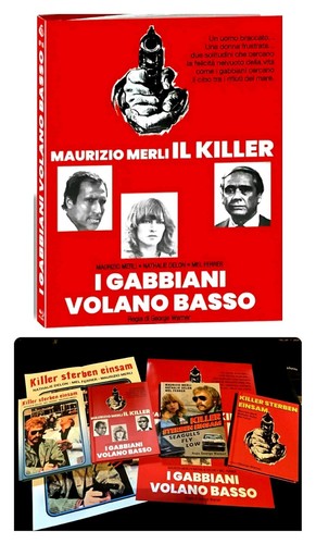 Gabbiani volano basso - gabbiani,