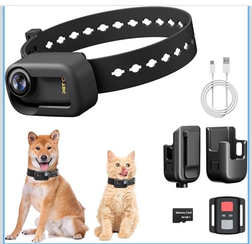Telecamera collare gatto hd - collare,