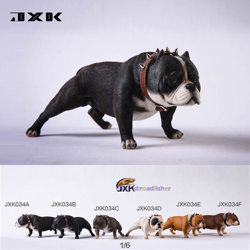 Jxk american bully pitbull - american,