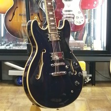 ARIA PRO II TA62C Black W/Gig