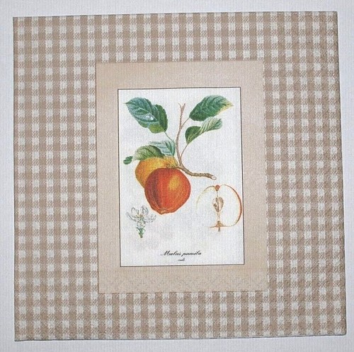 Tovaglioli carta 2 - di, (2