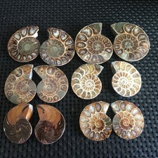 238g 6 paia piccole pietre