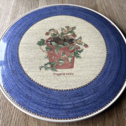 Wedgwood sarah garden - 'sarah's, garden'