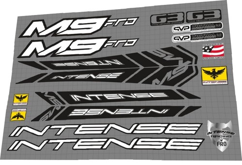 Adesivo telaio intense - intense, fro