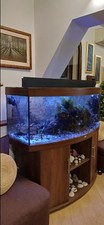 Acquario juwel vision 450 - vision,
