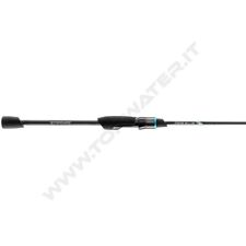 Favorite NEW Blue Bird 2020