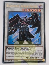 Maestro Armatura Alanera /