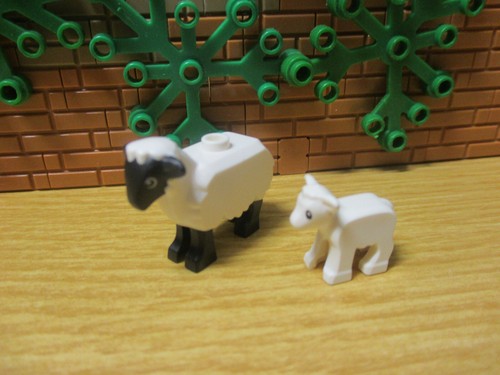 Lego pecora con - (d8/1),